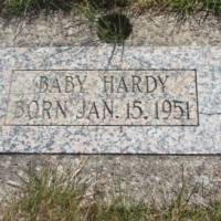 baby HARDY